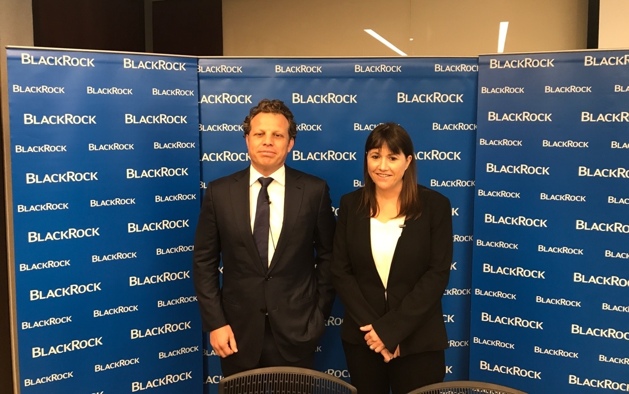 貝萊德看好明年內地股市舊經濟板塊或成焦點