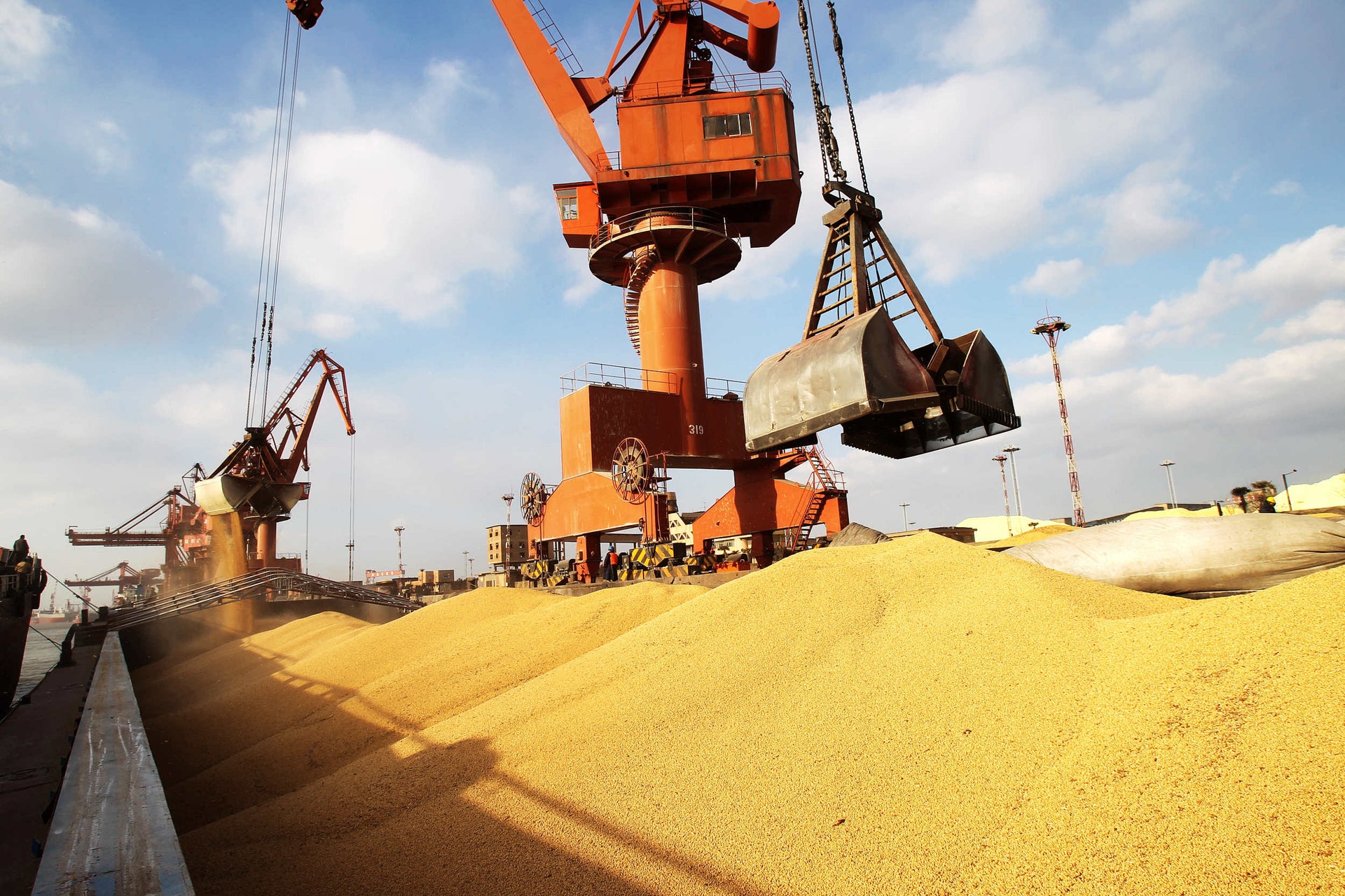 中國是阿根廷最大的大豆買家,但並不進口其加工後的豆粕。(視覺中國) 中國是阿根廷最大的大豆買家,但並不進口其加工後的豆粕。(視覺中國)