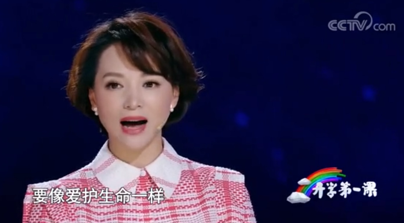 董卿 