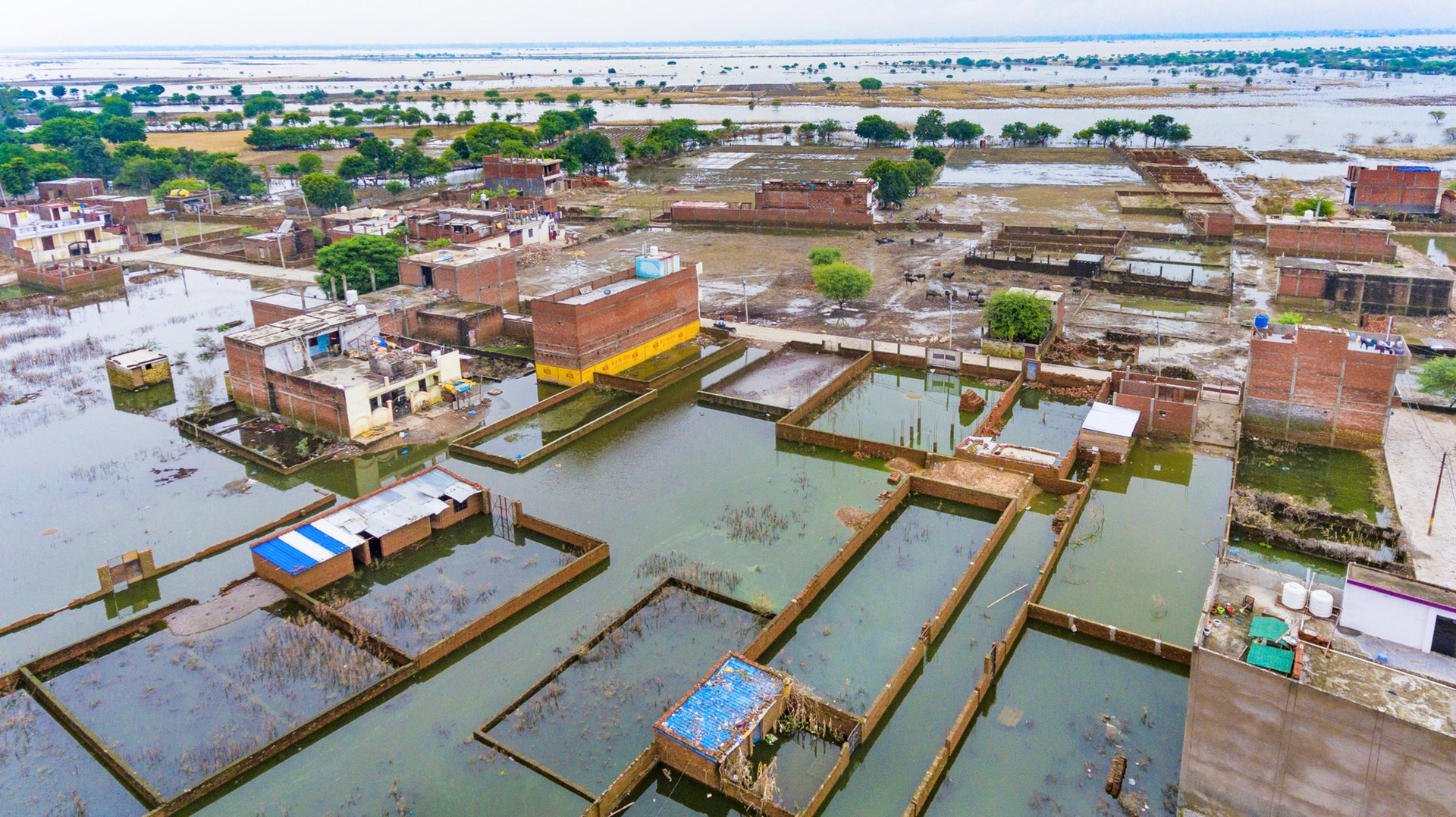 印度暴雨:北方邦普拉亞格拉傑市9月28日水浸,大部分房屋與稻田均被洪水淹沒。(AP)