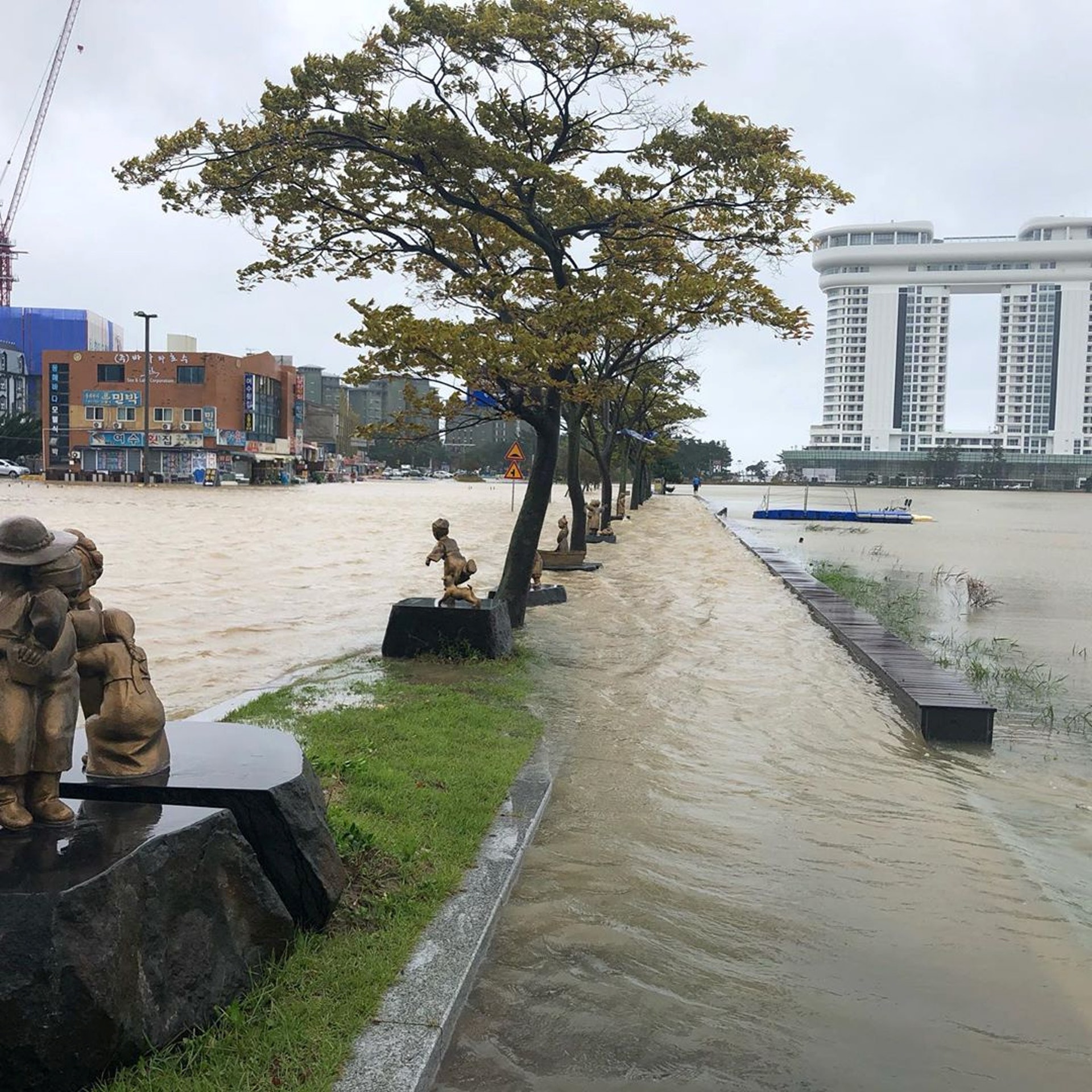 颱風米娜:韓國江陵市出現大水浸(@DIBIDIBOB/via REUTERS) 颱風米娜:韓國江陵市出現大水浸(@DIBIDIBOB/via REUTERS)