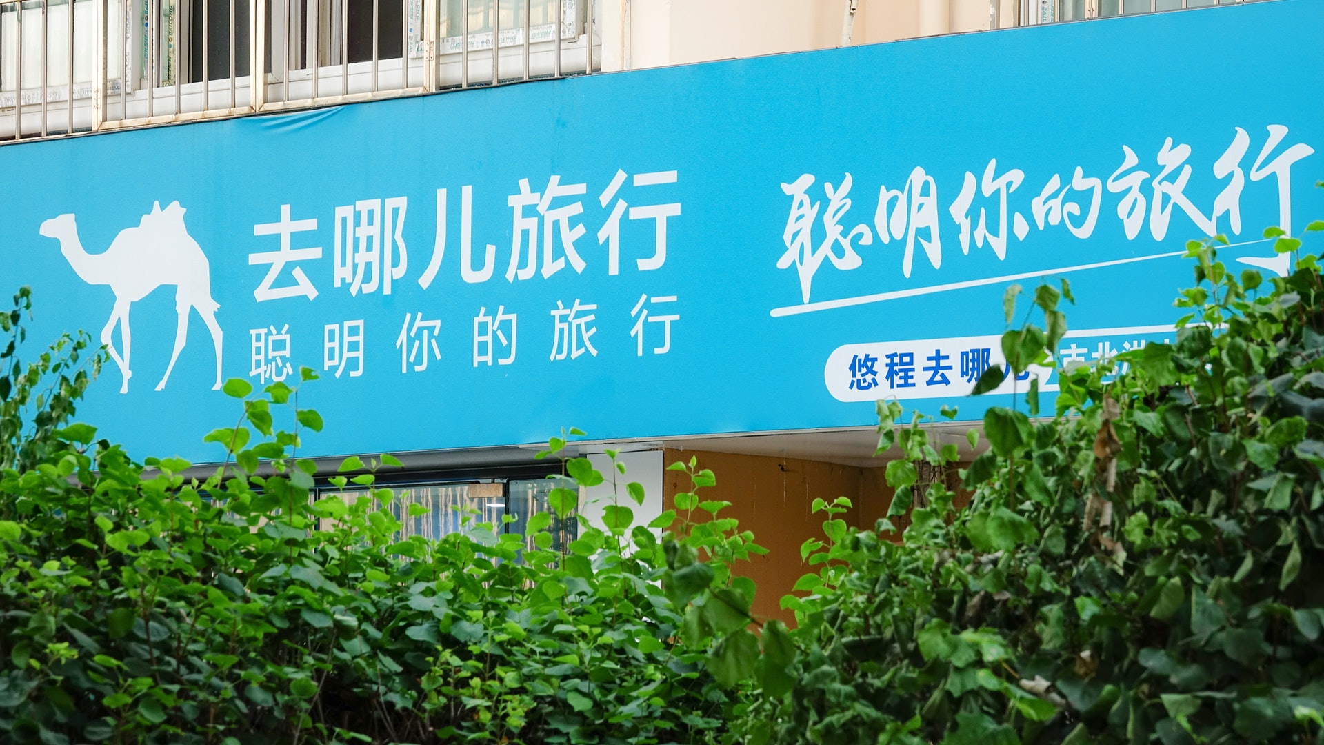 合作旅行社拒退保證金 「去哪兒網」受拖累遭法院列為「老賴」 合作旅行社拒退保證金 「去哪兒網」受拖累遭法院列為「老賴」