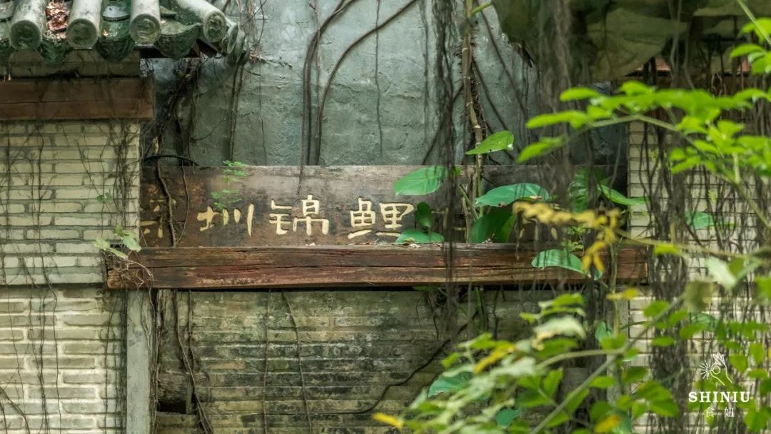 （食妞授权使用）