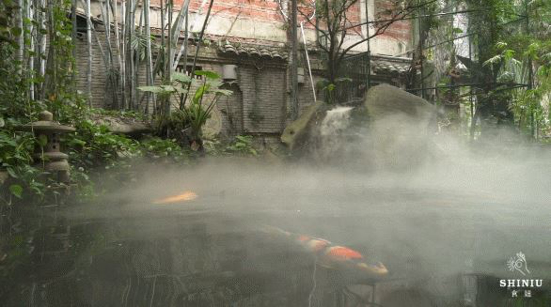 最吸睛的要數氤氳著「仙氣」的錦鯉池,一個小院打造了三個白霧飄飄的錦鯉池,生活著一條又一條巨大的錦鯉。(食妞授權使用) (食妞授權使用)