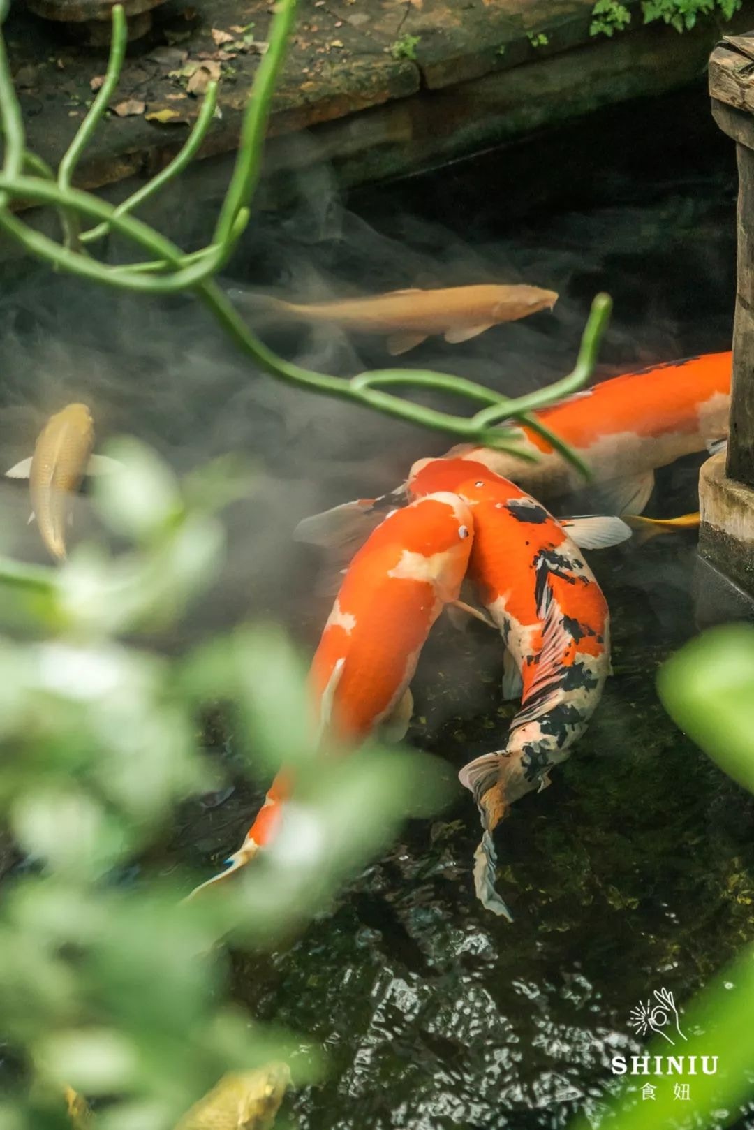 這是一個能讓時光變慢的地方(食妞授權使用) (食妞授權使用)