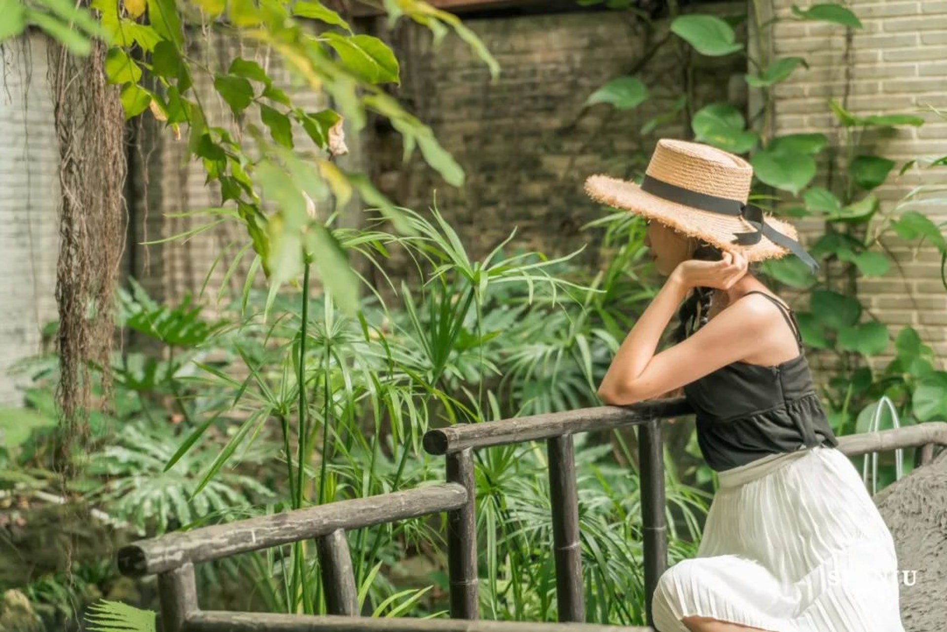 【偽裝座椅的黑色巨樹】黑色的大樹幹,在錦鯉池邊提供了一個極佳的觀魚位置。(食妞授權使用) (食妞授權使用)