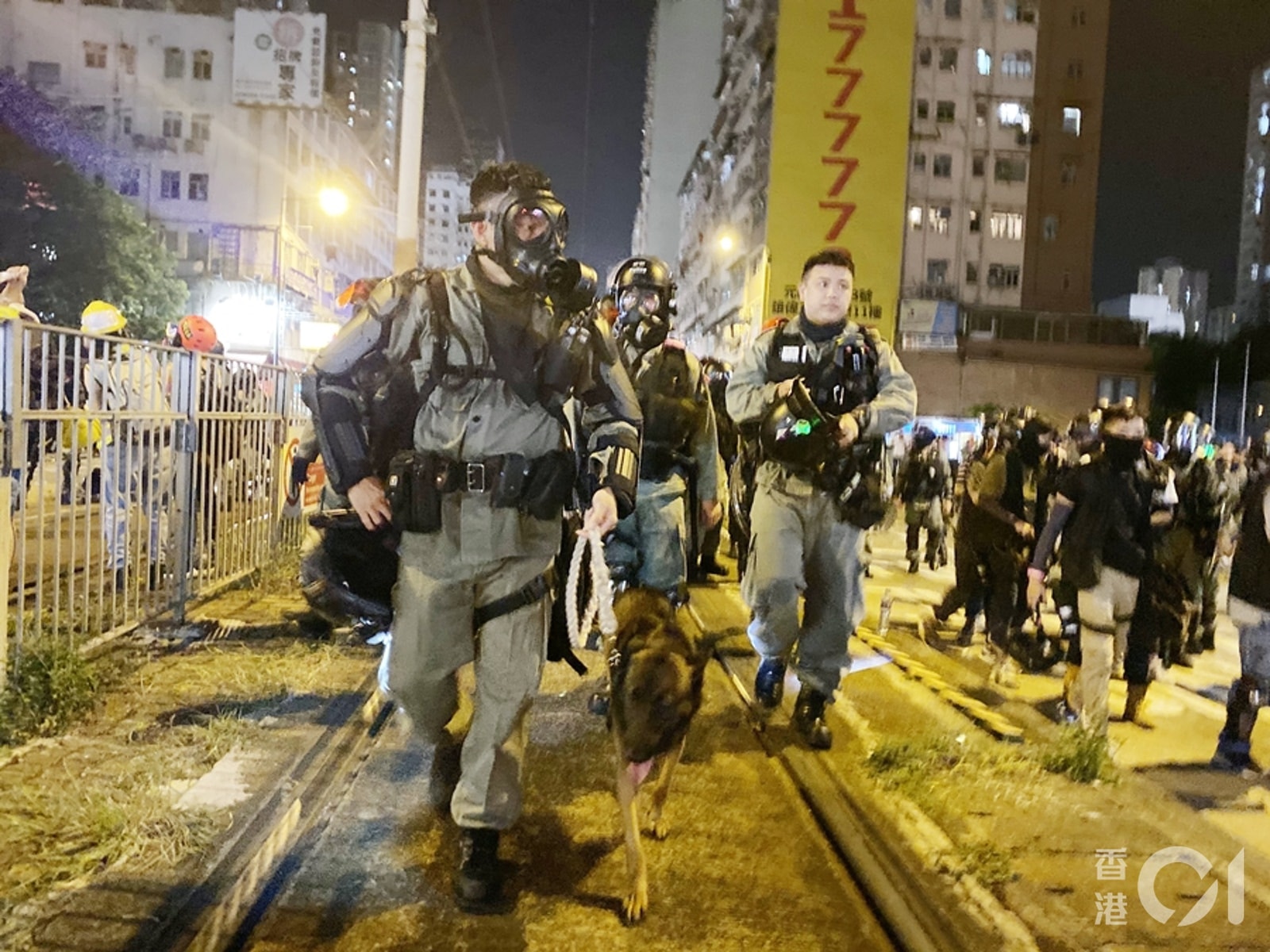 日前(10月21日)警犬在沒有防護裝備下出動。(李智智攝) 日前(10月21日)警犬在沒有防護裝備下出動。(李智智攝)