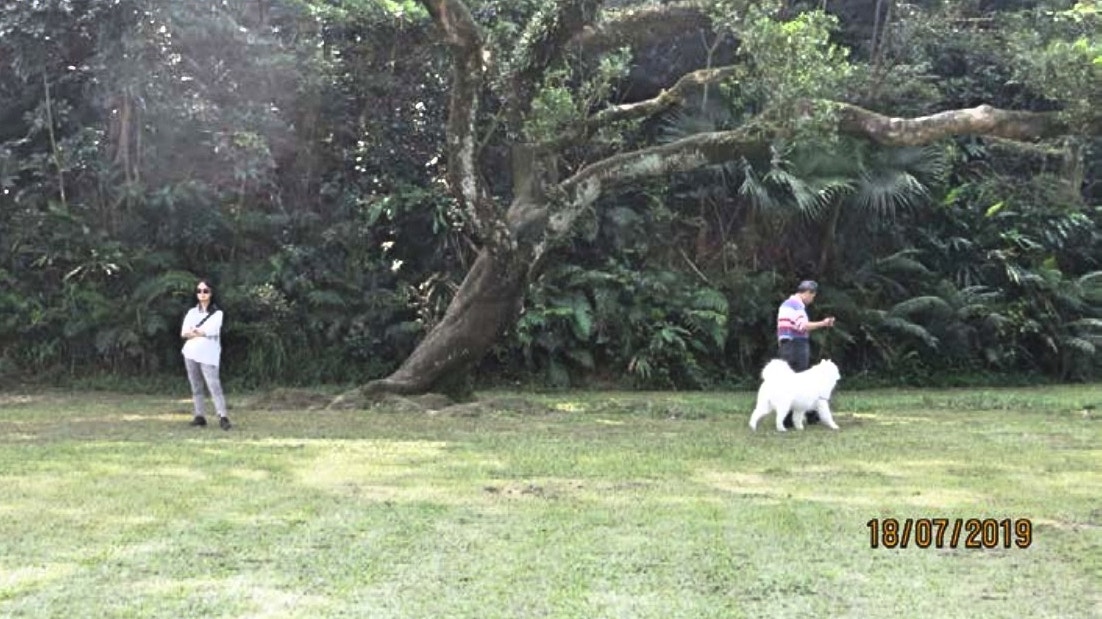 【山頂花園】不少人駕車上山,帶着狗狗到公園散步。(海濱事務委員簡報) 【山頂花園】不少人駕車上山,帶着狗狗到公園散步。(海濱事務委員簡報)