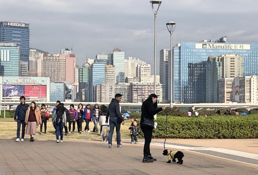 【啟德跑道公園】這裏鄰近市區,但又自成一角,不少人喜歡帶狗到來。(海濱事務委員簡報) 【啟德跑道公園】這裏鄰近市區,但又自成一角,不少人喜歡帶狗到來。(海濱事務委員簡報)