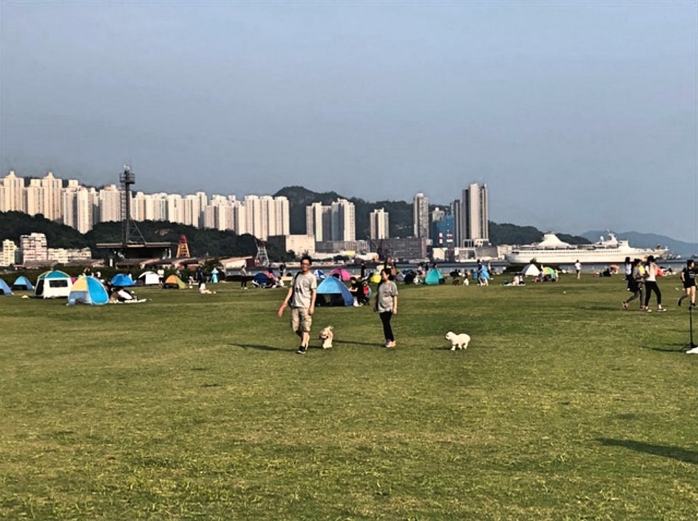【啟德跑道公園】大草地狗狗看到最開心。(海濱事務委員簡報) 【啟德跑道公園】大草地狗狗看到最開心。(海濱事務委員簡報)