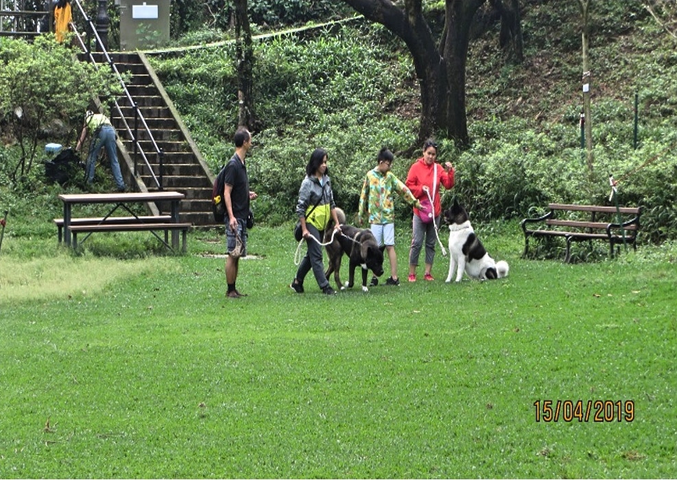 【山頂花園】登山做運動,一樂也。(海濱事務委員簡報) 【山頂花園】登山做運動,一樂也。(海濱事務委員簡報)