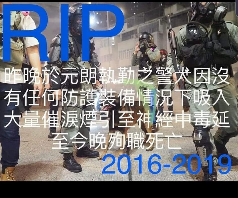 網上流傳10月21日於元朗執勤的警犬,因吸入催淚煙而殉職。(網上圖片) 網上流傳10月21日於元朗執勤的警犬,因吸入催淚煙而殉職。(網上圖片)