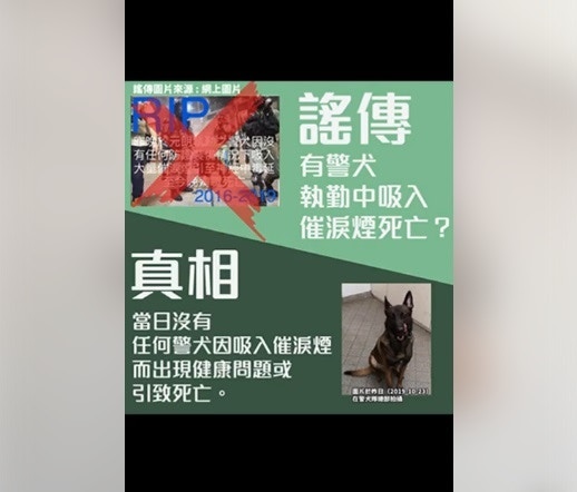 警方澄清沒有警犬因吸入催淚煙出現健康問題或引致死亡。(香港警察facebook) 警方澄清沒有警犬因吸入催淚煙出現健康問題或引致死亡。(香港警察facebook)