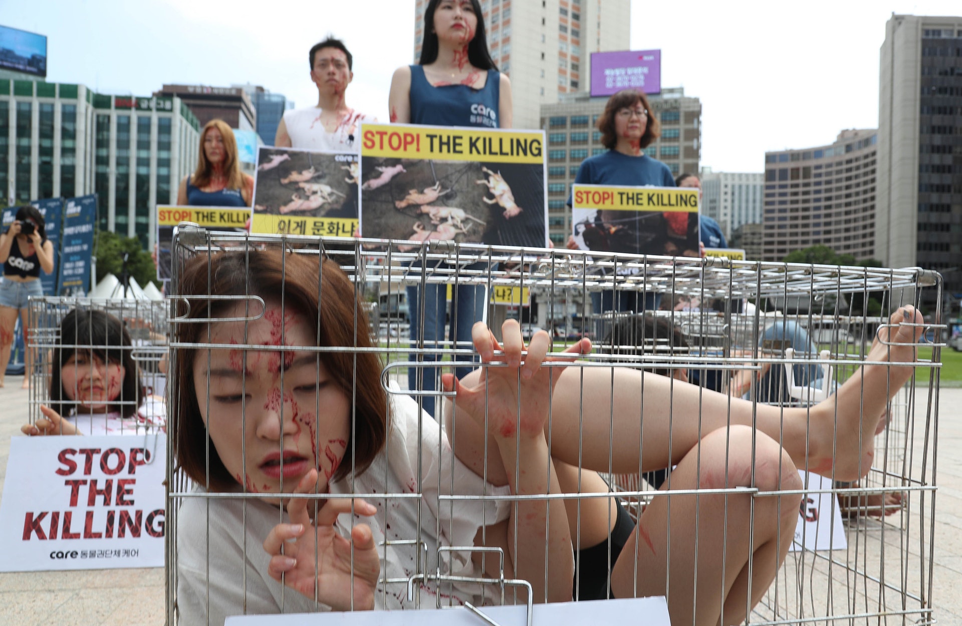 2017年8月,韓國首爾有民眾舉行示威,自困在籠內抗議屠狗行為(視覺中國) 2017年8月,韓國首爾有民眾舉行示威,自困在籠內抗議屠狗行為(視覺中國)