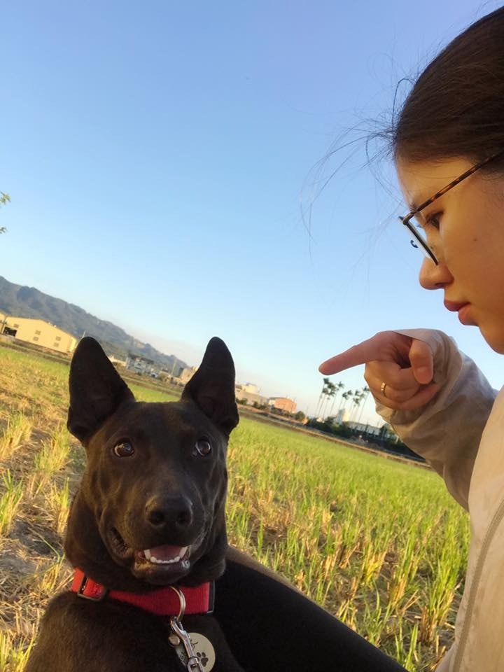 女飼主亦在帖文中補充指,「(歐歐)何止欺騙我的感情,牠還傷了我的心」。(Facebook@米克斯傳奇) 女飼主亦在帖文中補充指,「(歐歐)何止欺騙我的感情,牠還傷了我的心」。(Facebook@米克斯傳奇)