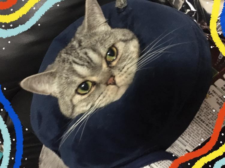 即使服用藥物後,情況也未見好轉。(受訪者提供) 即使服用藥物後,情況也未見好轉。(受訪者提供)