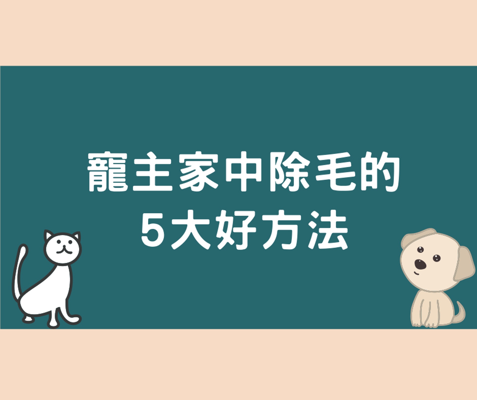 寵主家中除毛的5大好方法(01製圖) 寵主家中除毛的5大好方法(01製圖)