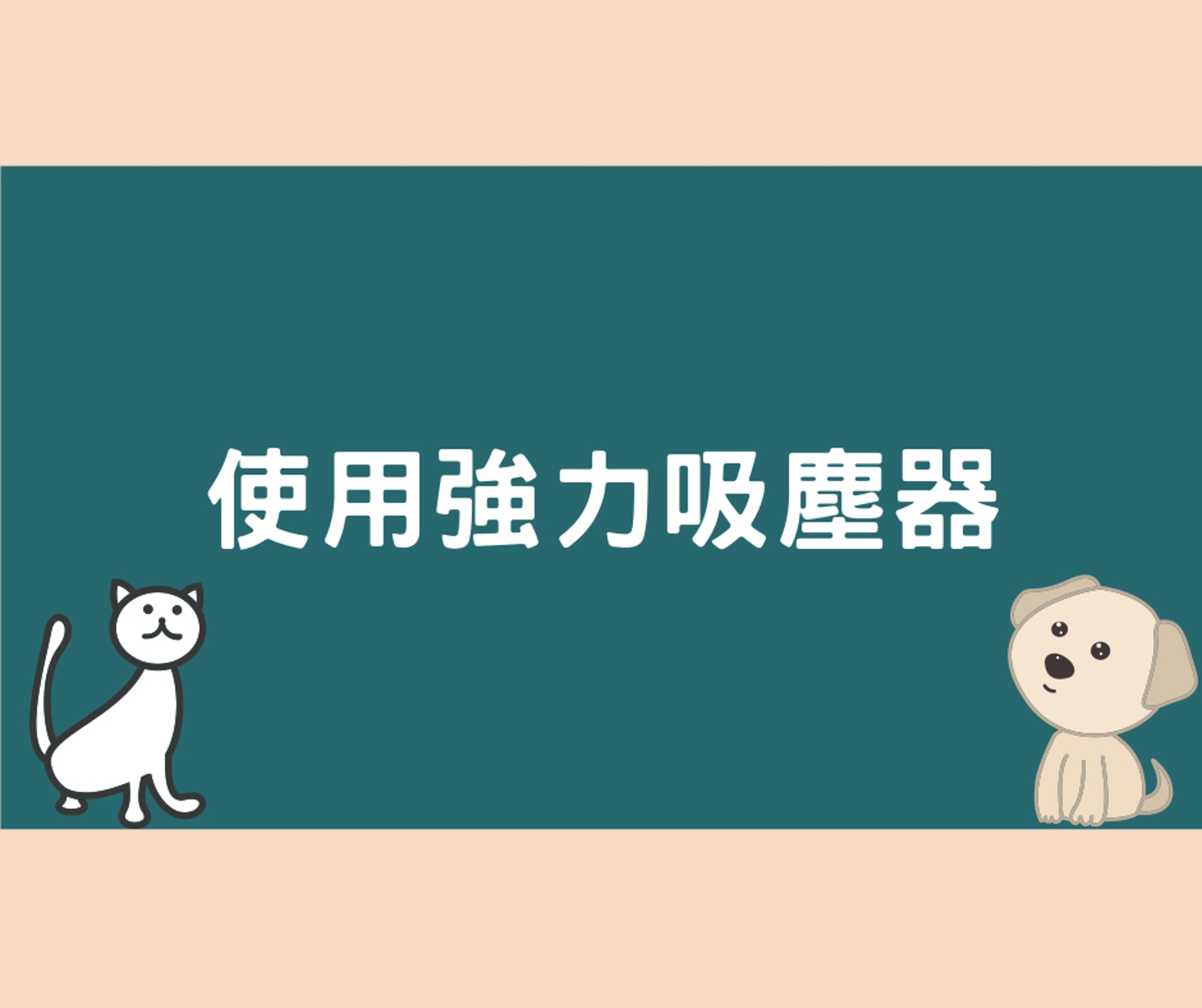 寵主家中除毛的5大好方法(01製圖) 寵主家中除毛的5大好方法(01製圖)