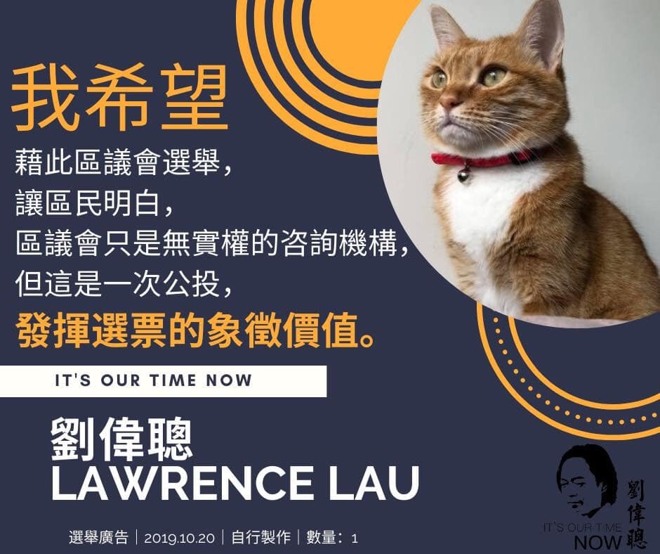 Lawrence的愛貓出現在多個選舉廣告。(Facebook@劉偉聰Lawrence) Lawrence的愛貓出現在多個選舉廣告。(Facebook@劉偉聰Lawrence)