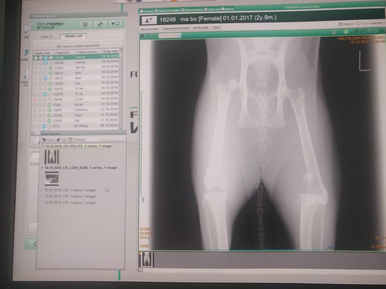 牠左、右腳均有不同程度的骨折。(受訪者提供) 牠左、右腳均有不同程度的骨折。(受訪者提供)