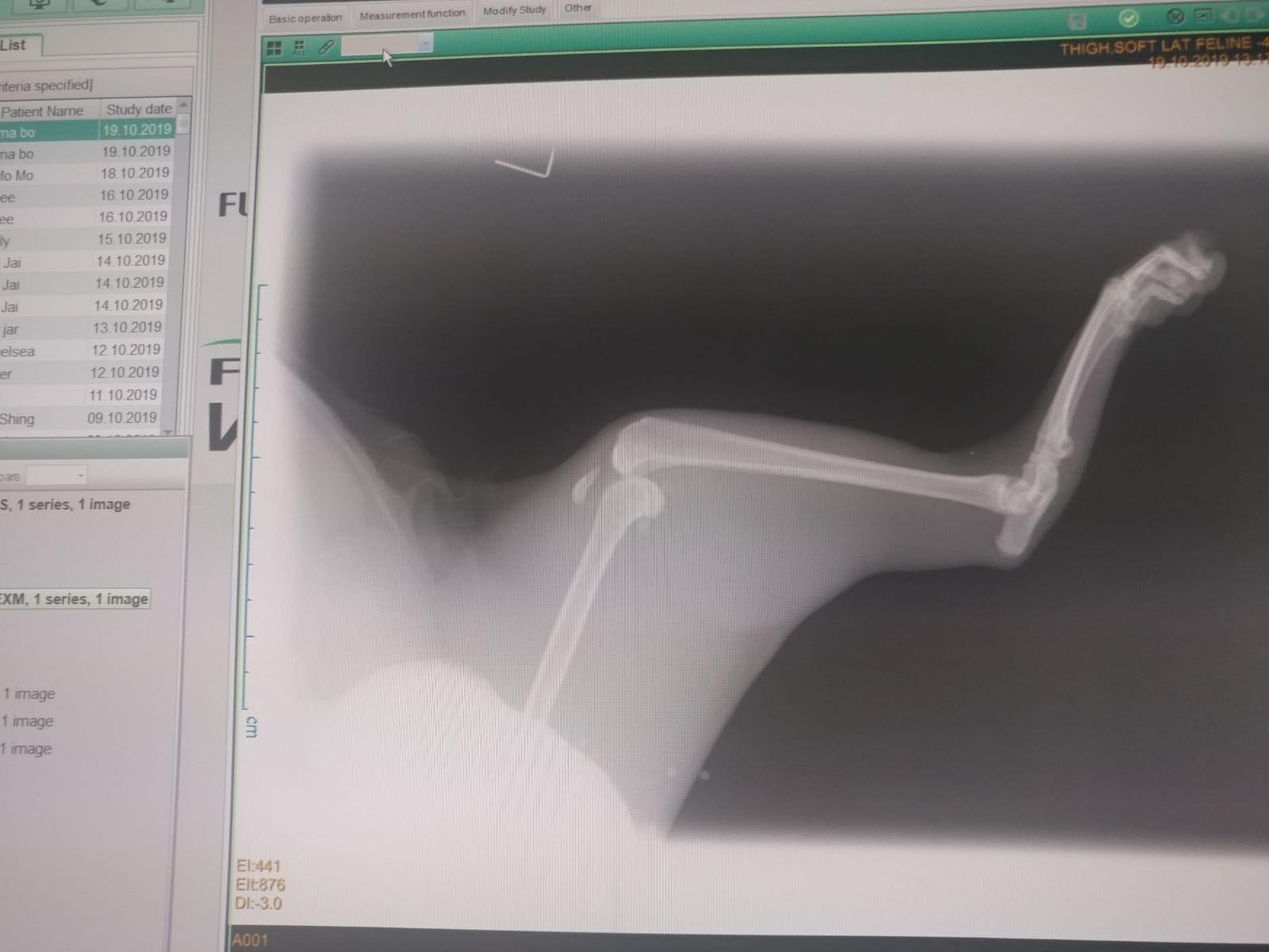 牠的後腳亦有骨折。(受訪者提供) 牠的後腳亦有骨折。(受訪者提供)