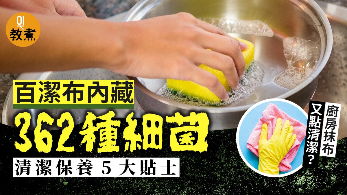 【入廚貼士】百潔布內藏362種細菌 消毒除臭保養百潔布5大貼士 【入廚貼士】百潔布內藏362種細菌 消毒除臭保養百潔布5大貼士