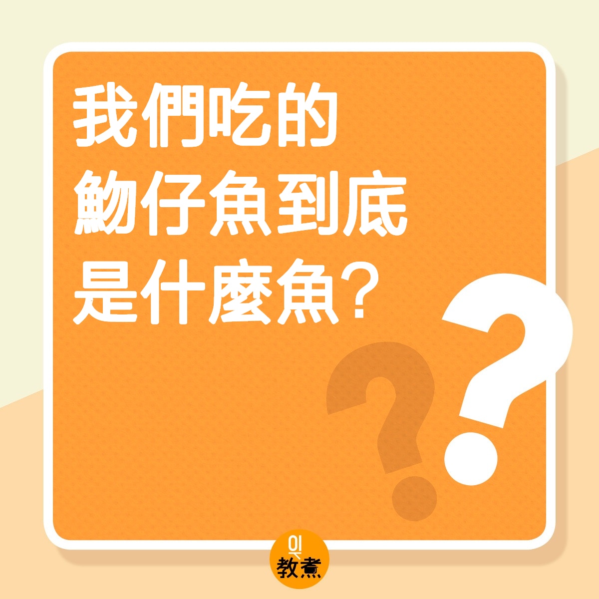 魩仔魚到底是什麼魚？（01製圖）