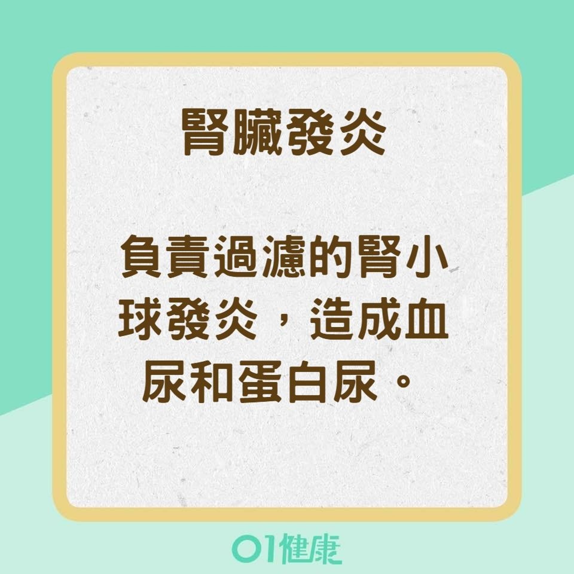 【為什麼會有血尿？】腎臟發炎（01製圖）