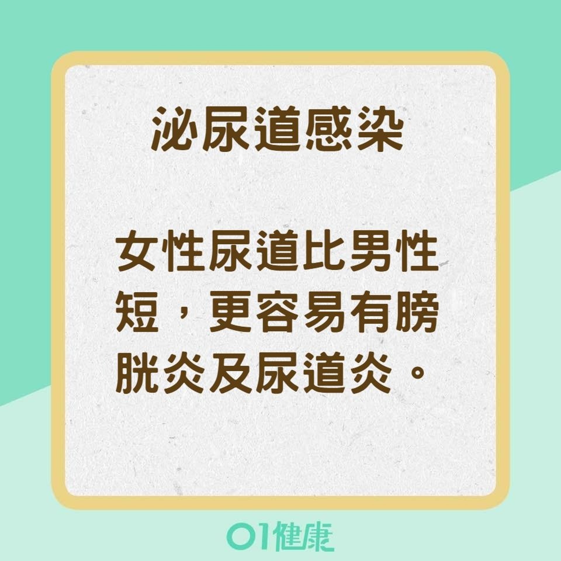 【為什麼會有血尿？】泌尿道感染（01製圖）