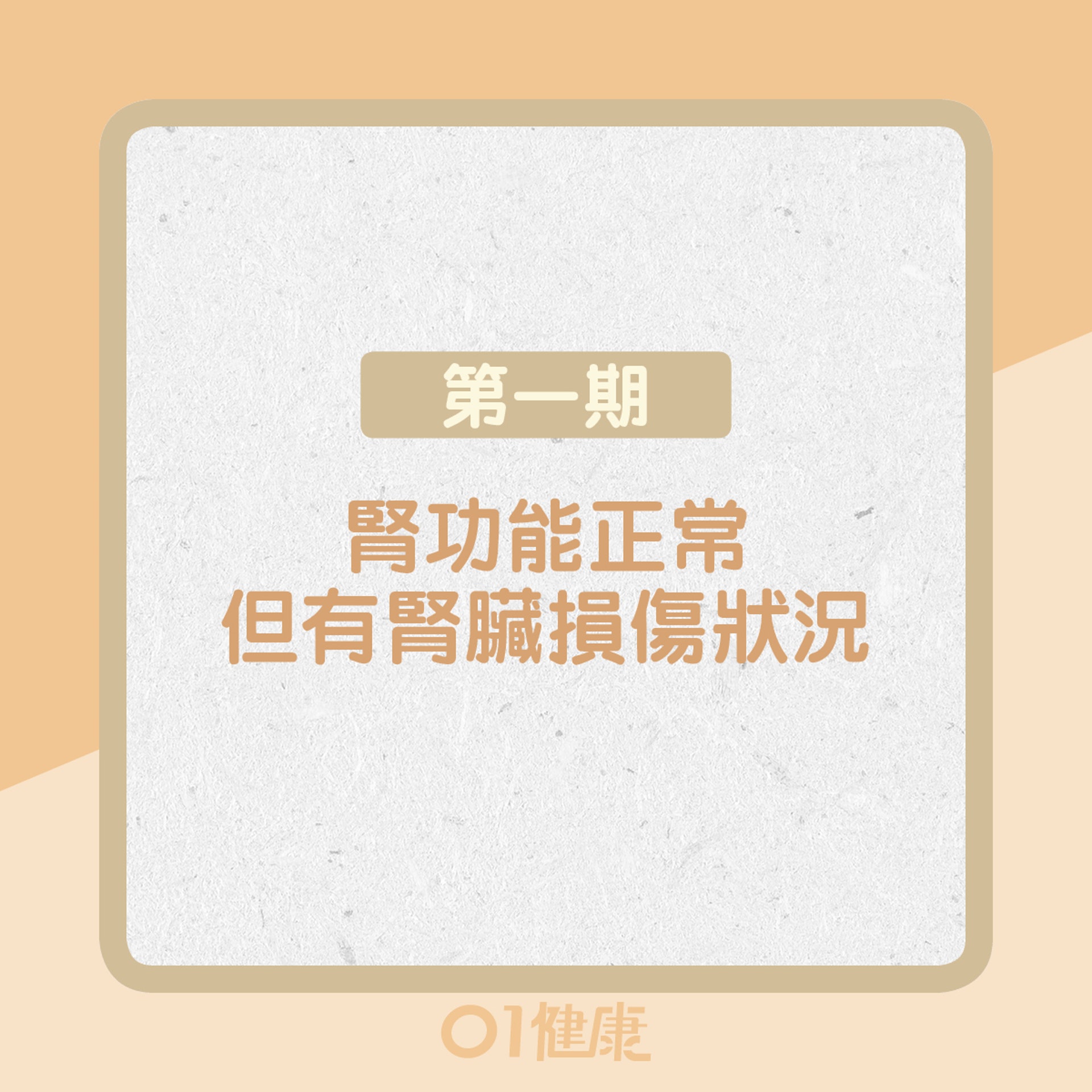 第一期:腎功能正常但有腎臟損傷的狀況(01製圖) 第一期:腎功能正常但有腎臟損傷的狀況(01製圖)
