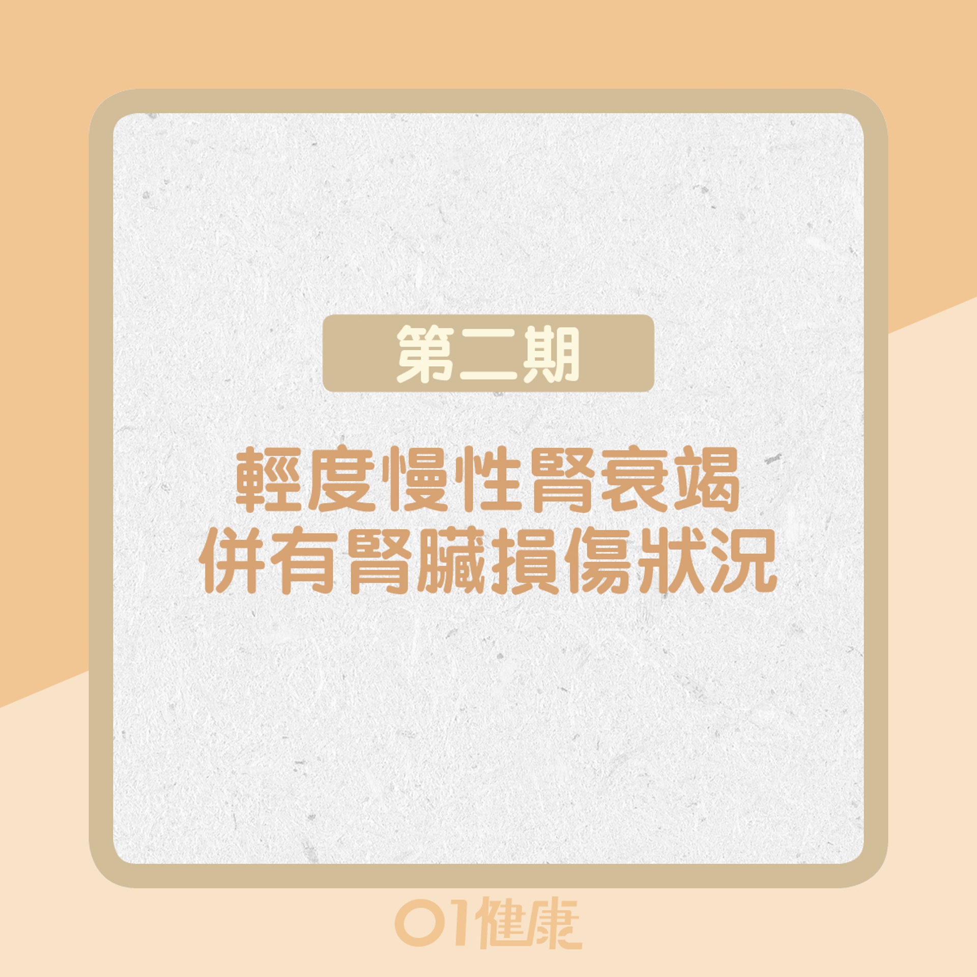 第二期:輕度慢性腎衰竭,併有腎臟損傷的狀況(01製圖) 第二期:輕度慢性腎衰竭,併有腎臟損傷的狀況(01製圖)