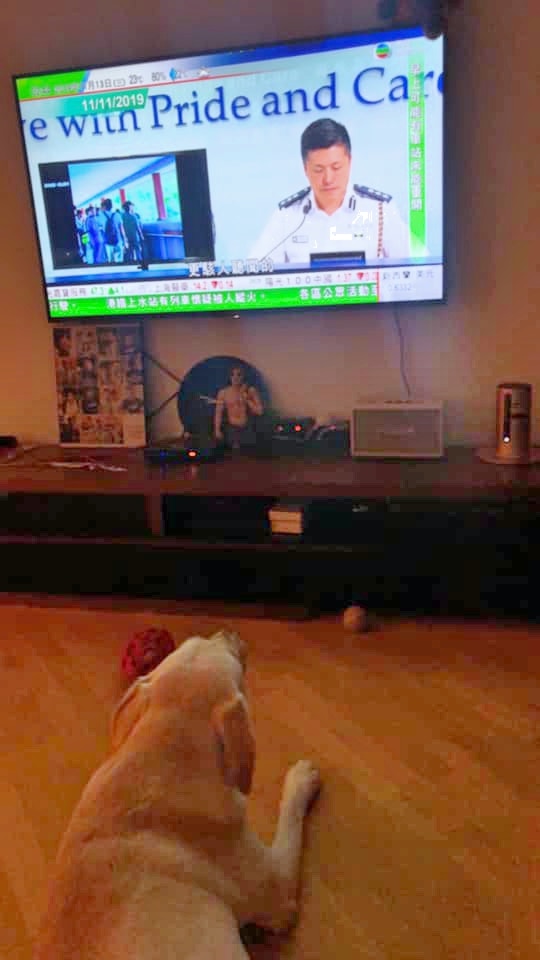 可幸的是,大粒嘔吐後並無大礙,飲食如廁均正常,表現精靈。(受訪者提供) 可幸的是,大粒嘔吐後並無大礙,飲食如廁均正常,表現精靈。(受訪者提供)