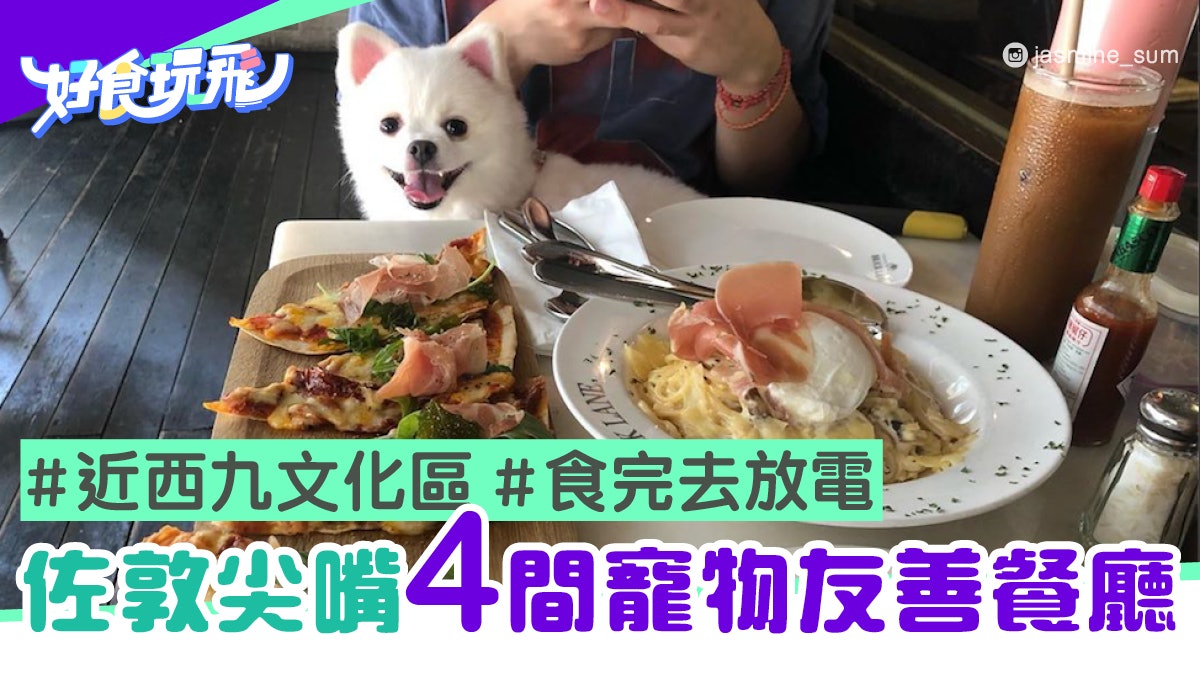 狗狗好去處 尖沙咀佐敦4間寵物友善餐廳食飽落西九文化區放電 香港01 食玩買