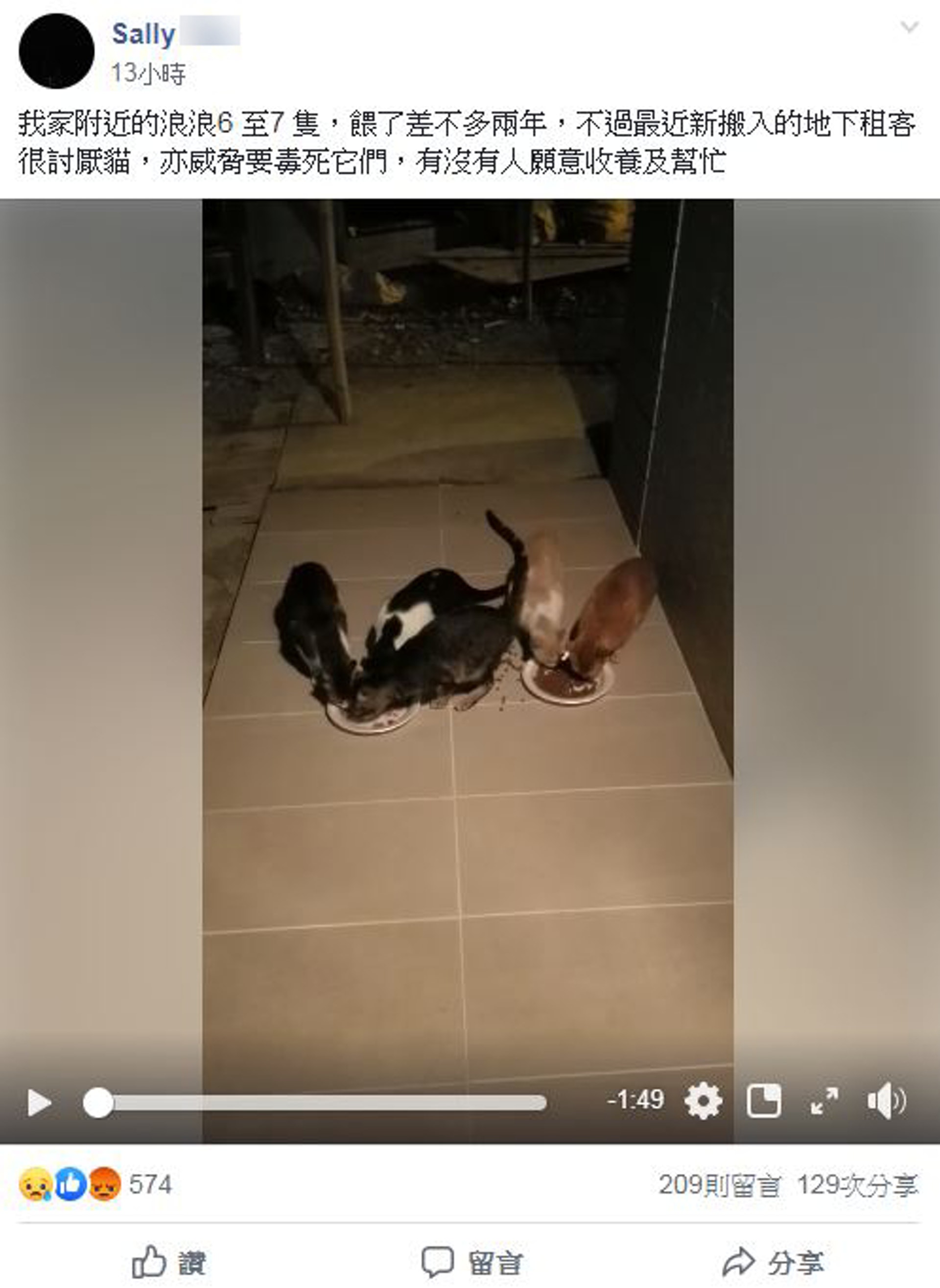 網民Sally周五(8日)凌晨於網上發文求救,為貓貓們急尋歸宿。(受訪者提供) 網民Sally周五(8日)凌晨於網上發文求救,為貓貓們急尋歸宿。(受訪者提供)