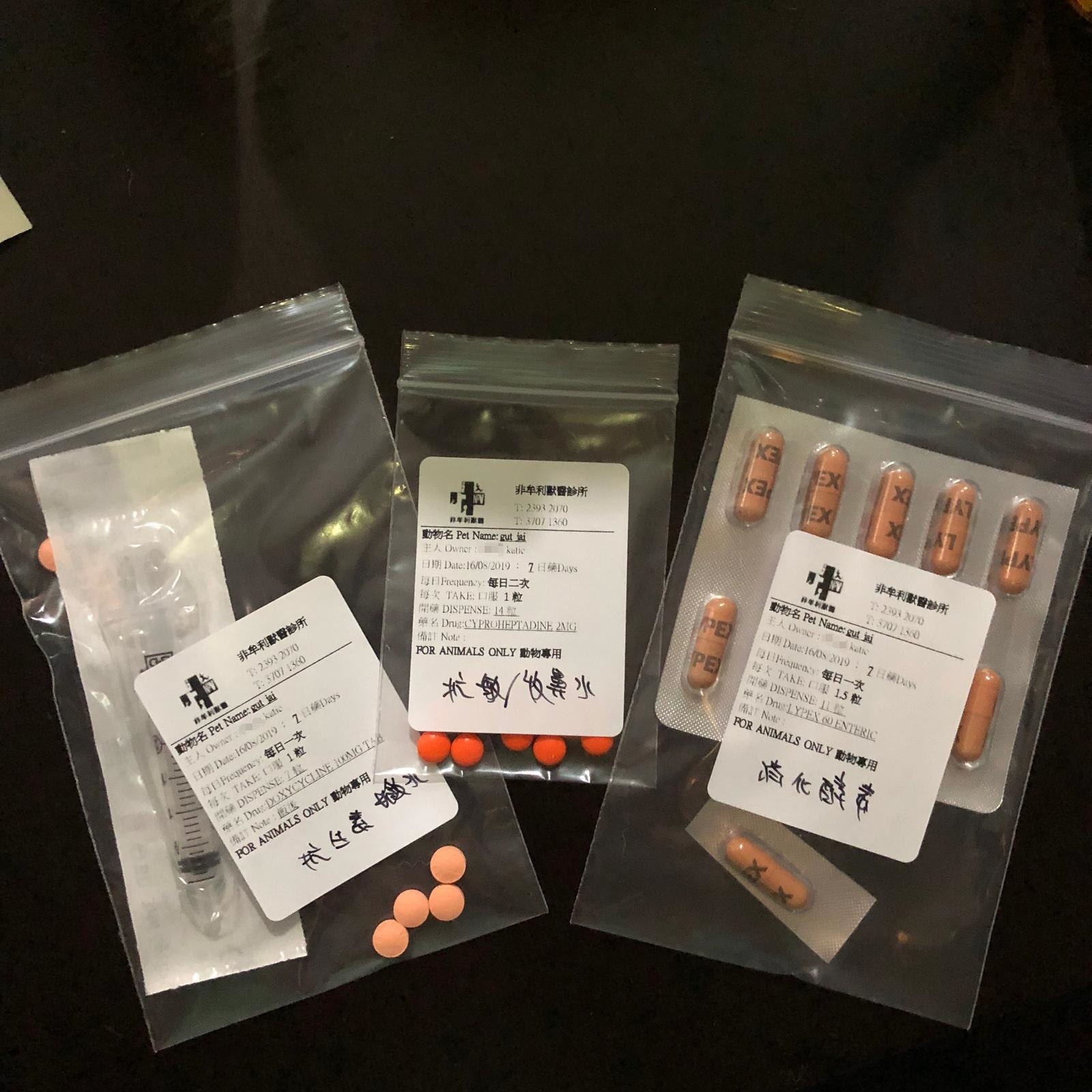 Katie引述獸醫指,寵物受到驚嚇或感到不安,並沒有藥物可輔助治療,他亦不清楚催淚彈會否對吉仔帶來潛在影響。(受訪者提供) Katie引述獸醫指,寵物受到驚嚇或感到不安,並沒有藥物可輔助治療,他亦不清楚催淚彈會否對吉仔帶來潛在影響。(受訪者提供)