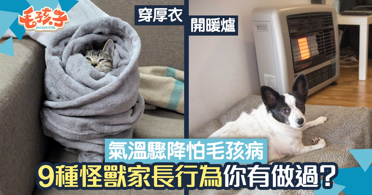 【天文台】天氣冷了！9種怪獸家長為主子做的事　穿衣服只是小事