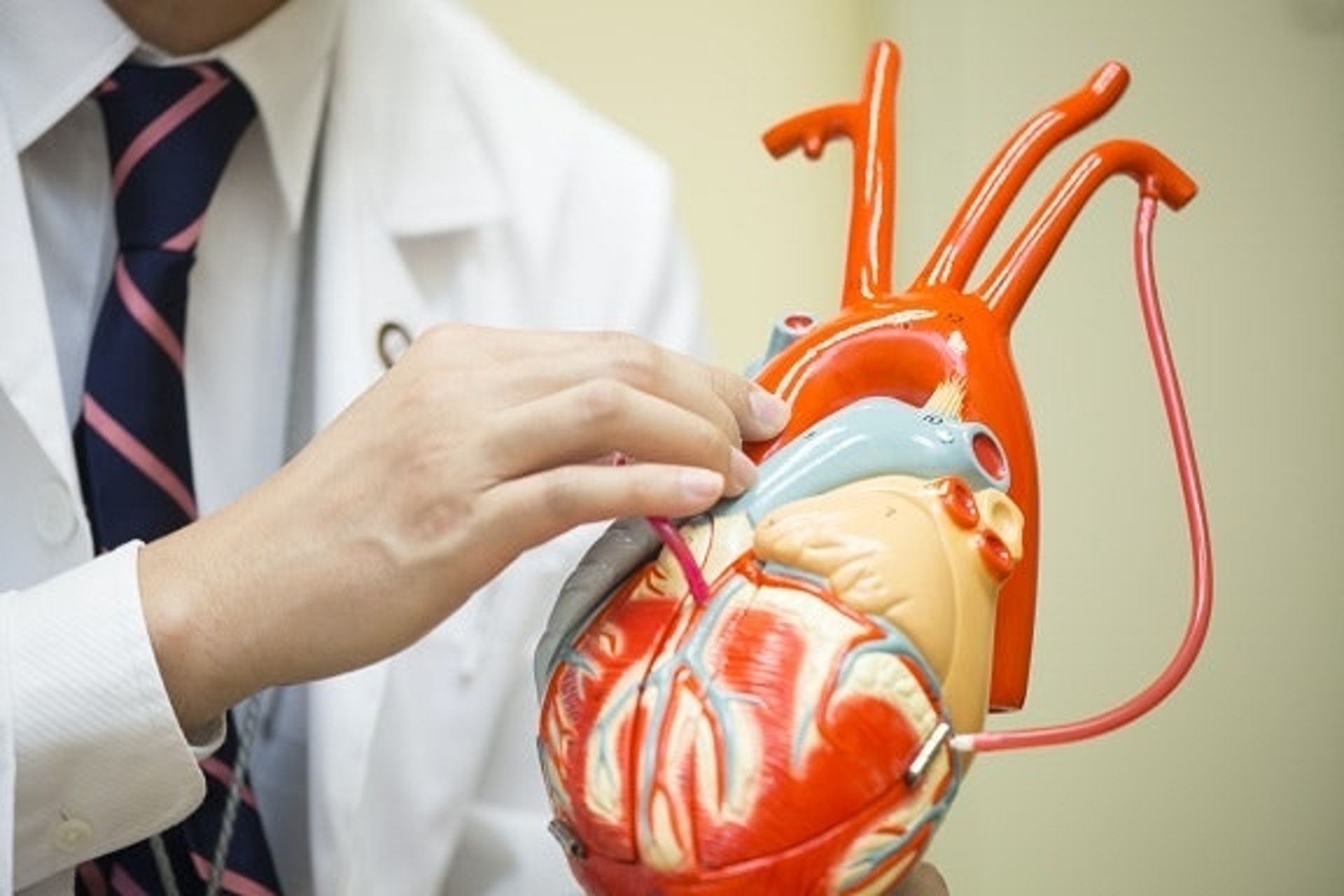 據衛生防護中心資料，心臟病（泛指各類與心臟有關的疾病）是香港常見致命疾病第三位，而在2018年共有6,088人死於心臟病。（資料圖片）