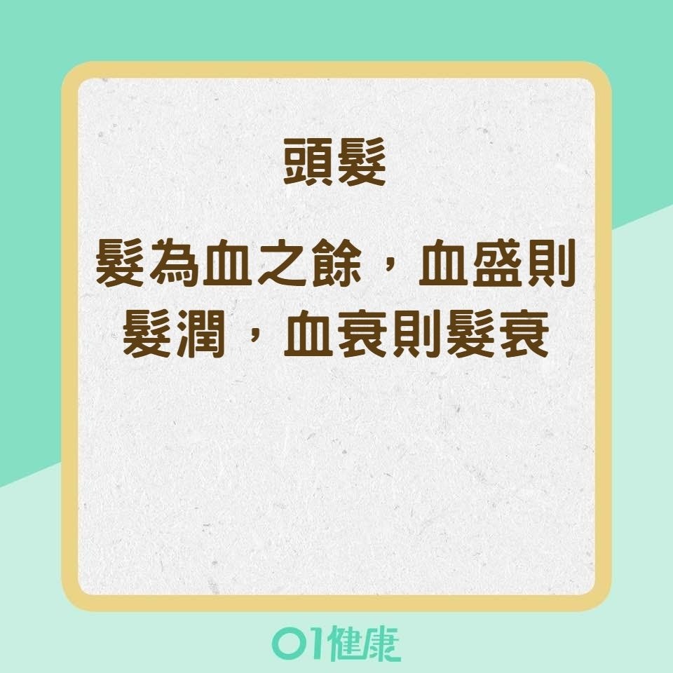 從哪裡可以看出肝不好?2. 頭髮(01製圖) 從哪裡可以看出肝不好?2. 頭髮(01製圖)
