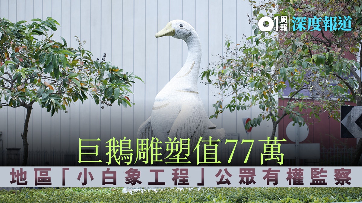 【區議會選舉】蛇齋餅粽「性本善」？「小白象」與你我有關？