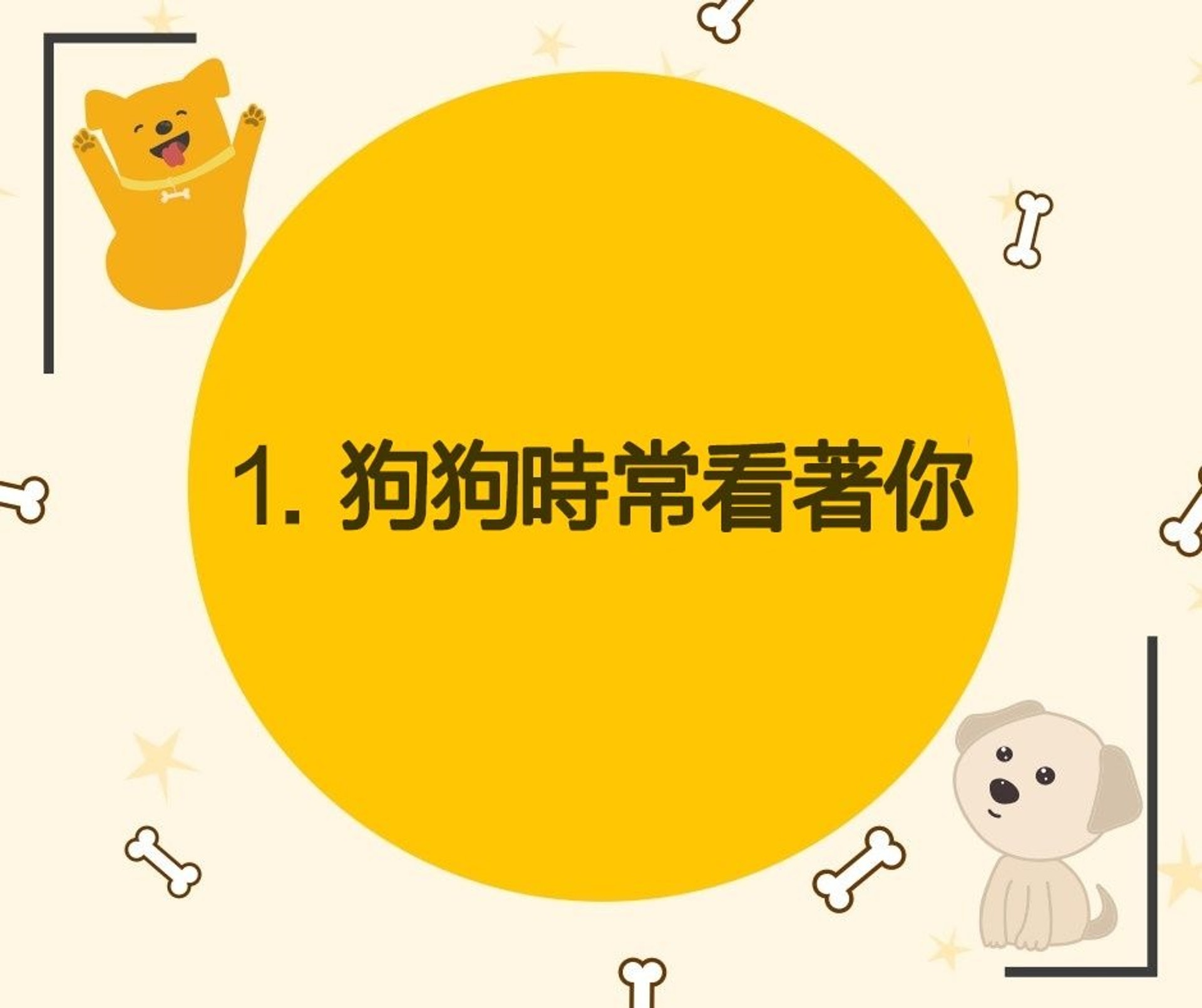 狗狗對最喜歡的人,會有什麼表現?(01製圖) 狗狗對最喜歡的人,會有什麼表現?(01製圖)
