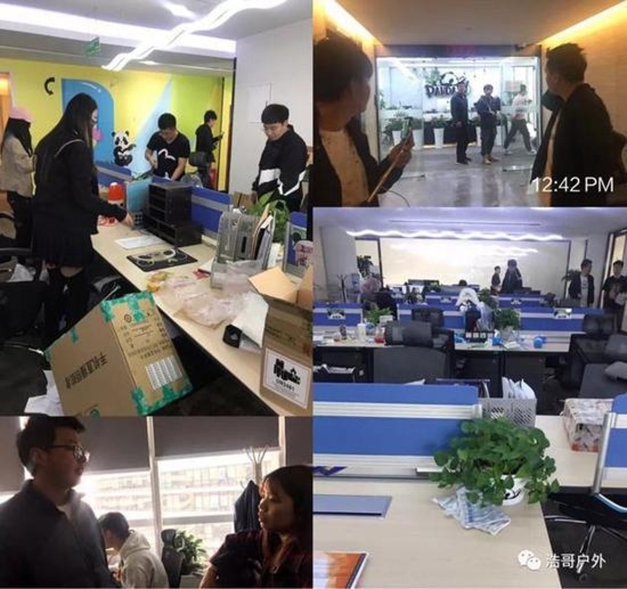 熊貓互娛的「熊貓直播」在3月時因資金斷裂而遣散員工。（資料圖片）