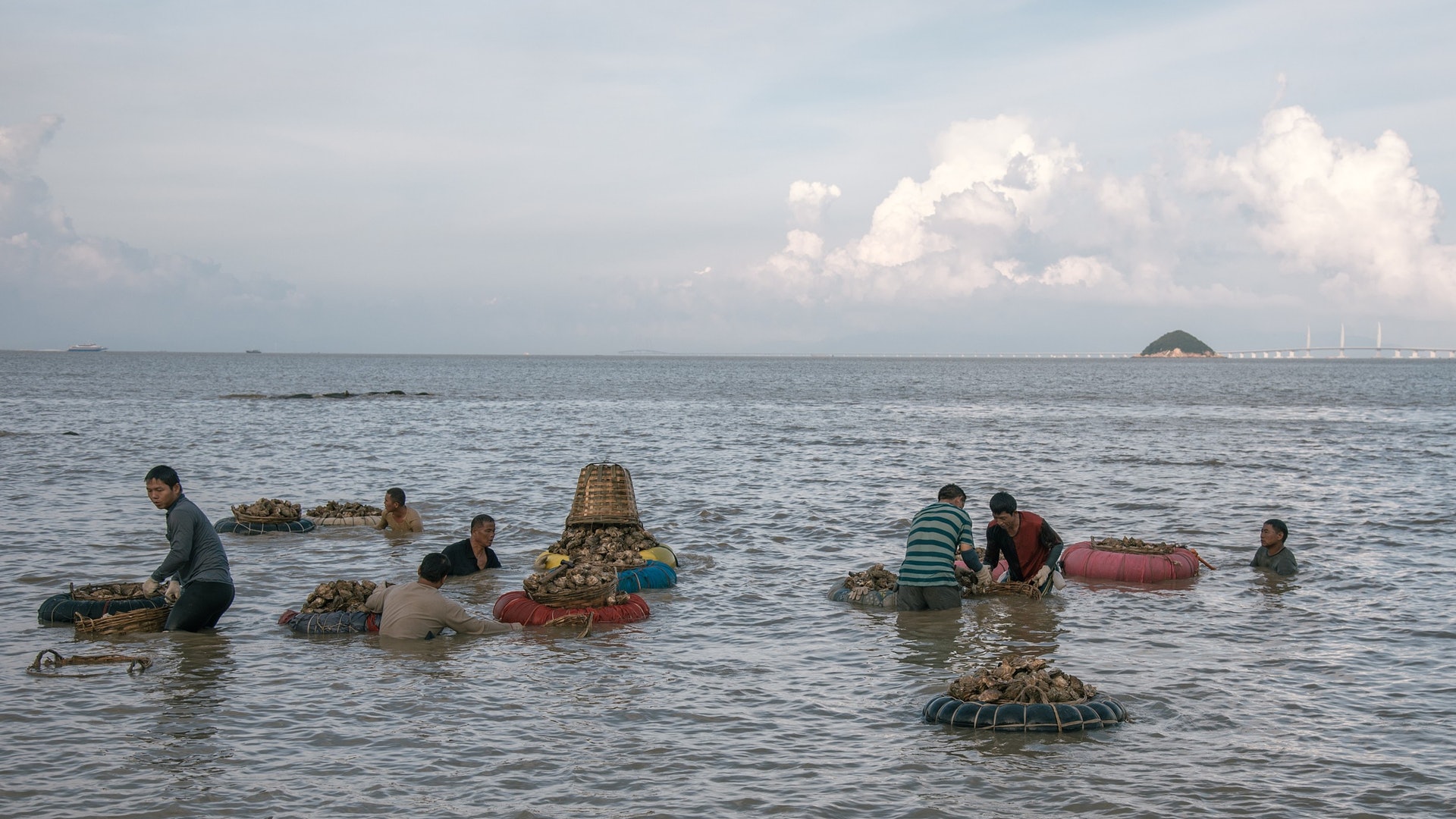 【食物安全】珠海6批次海鮮檢出「氯黴素」 長期食用可致白血病 【食物安全】珠海6批次海鮮檢出「氯黴素」 長期食用可致白血病