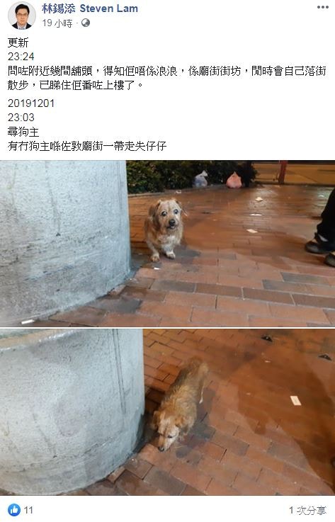他曾於專頁為疑似流浪毛孩尋主。(Facebook@林錫添 Steven Lam) 他曾於專頁為疑似流浪毛孩尋主。(Facebook@林錫添 Steven Lam)