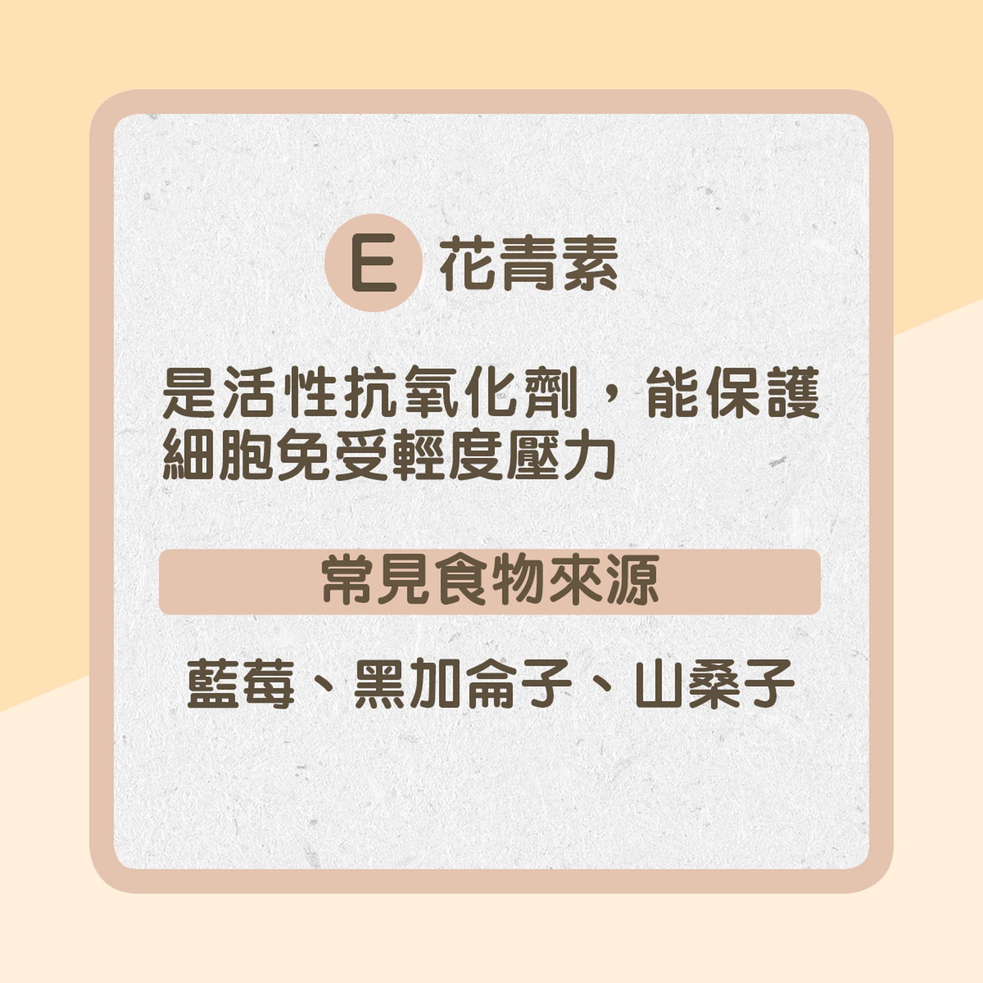 E. 花青素（01製圖）