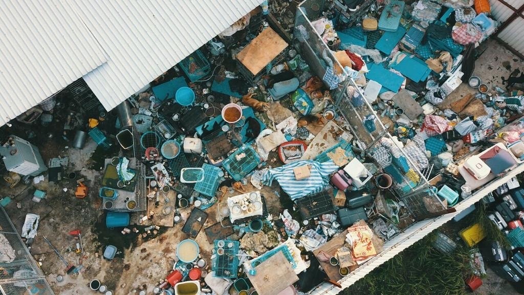 義工航拍發現狗場內一片凌亂。(義工林小姐提供) 義工航拍發現狗場內一片凌亂。(義工林小姐提供)