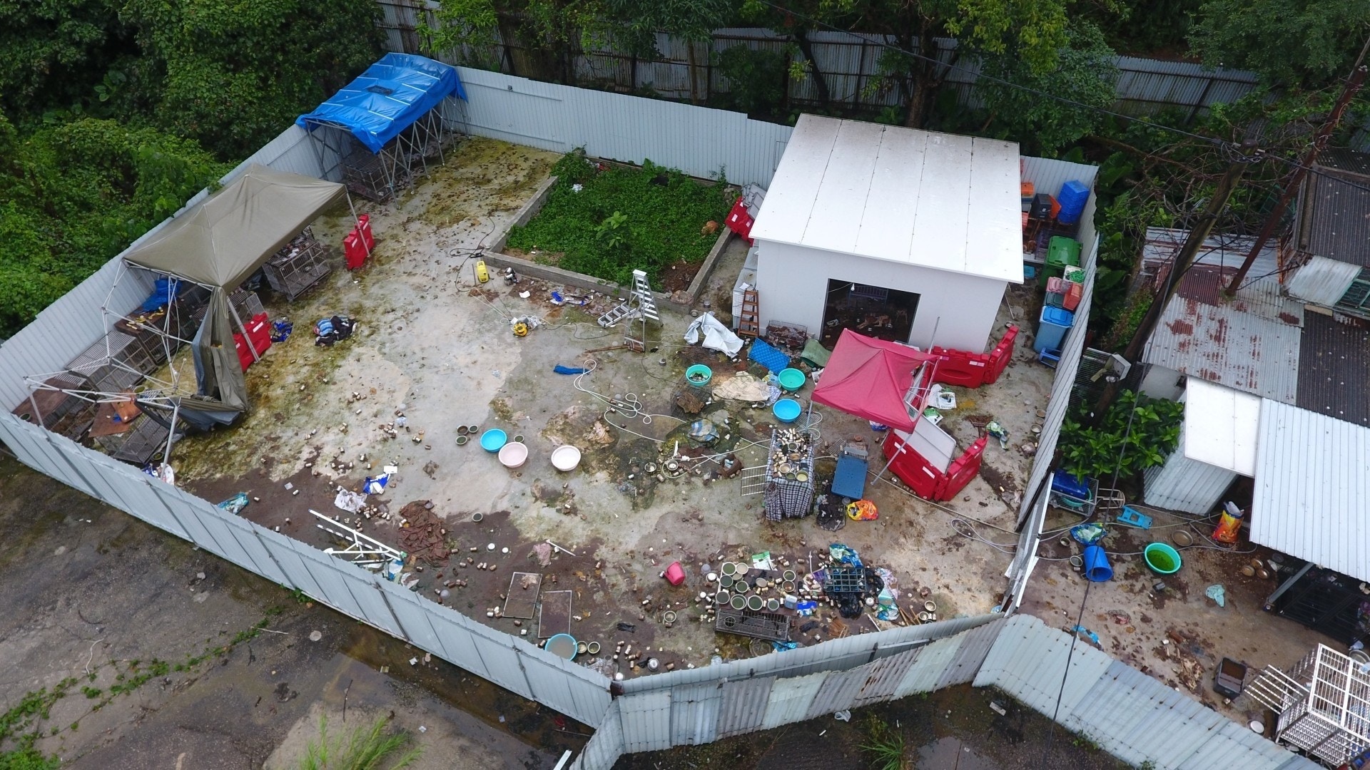 警方、漁護署及愛協於場內共撿獲36具已腐爛的貓狗屍體。(資料圖片) 警方、漁護署及愛協於場內共撿獲36具已腐爛的貓狗屍體。(資料圖片)