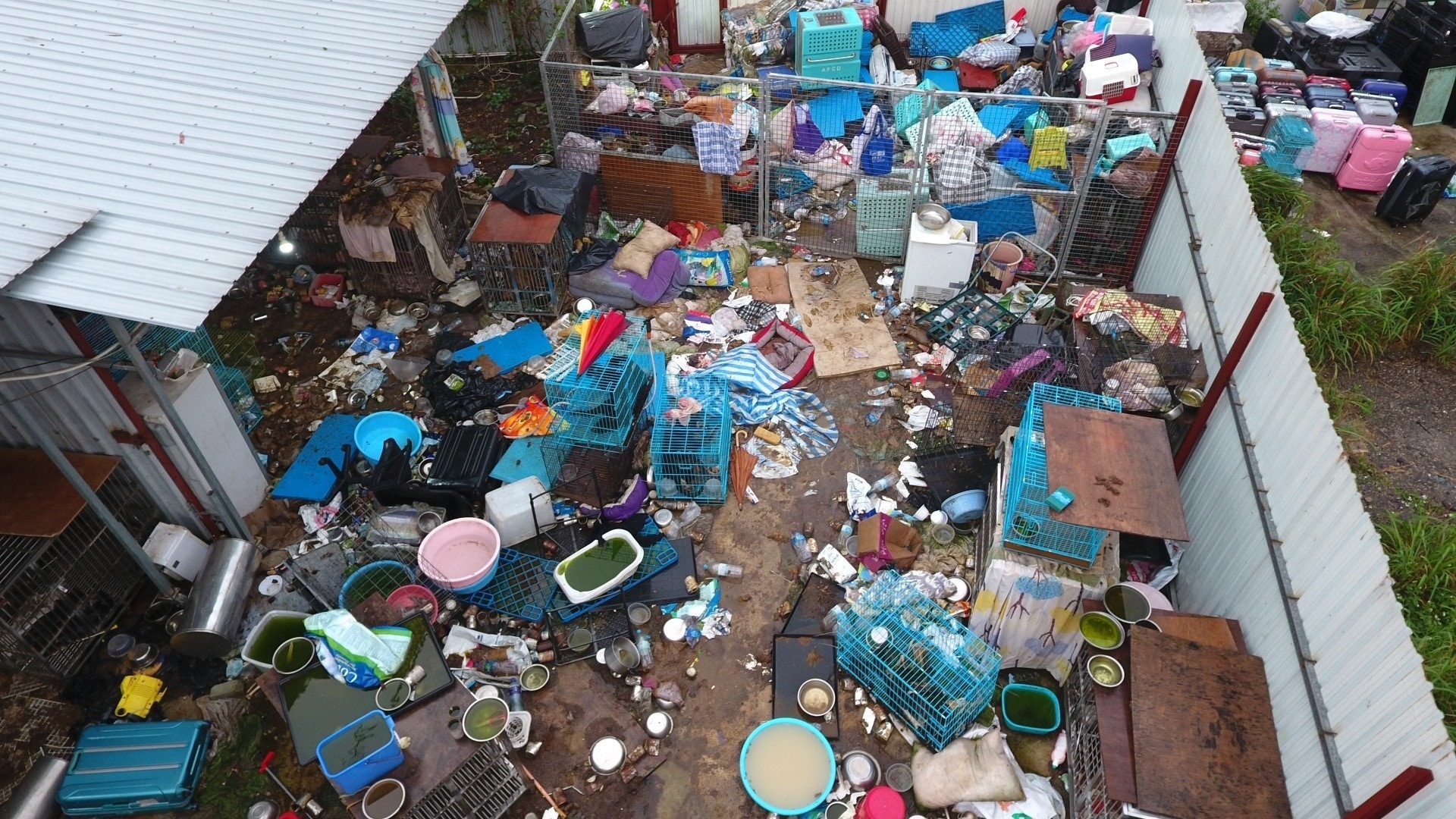 狗場位於打鼓嶺坪輋。(資料圖片) 狗場位於打鼓嶺坪輋。(資料圖片)