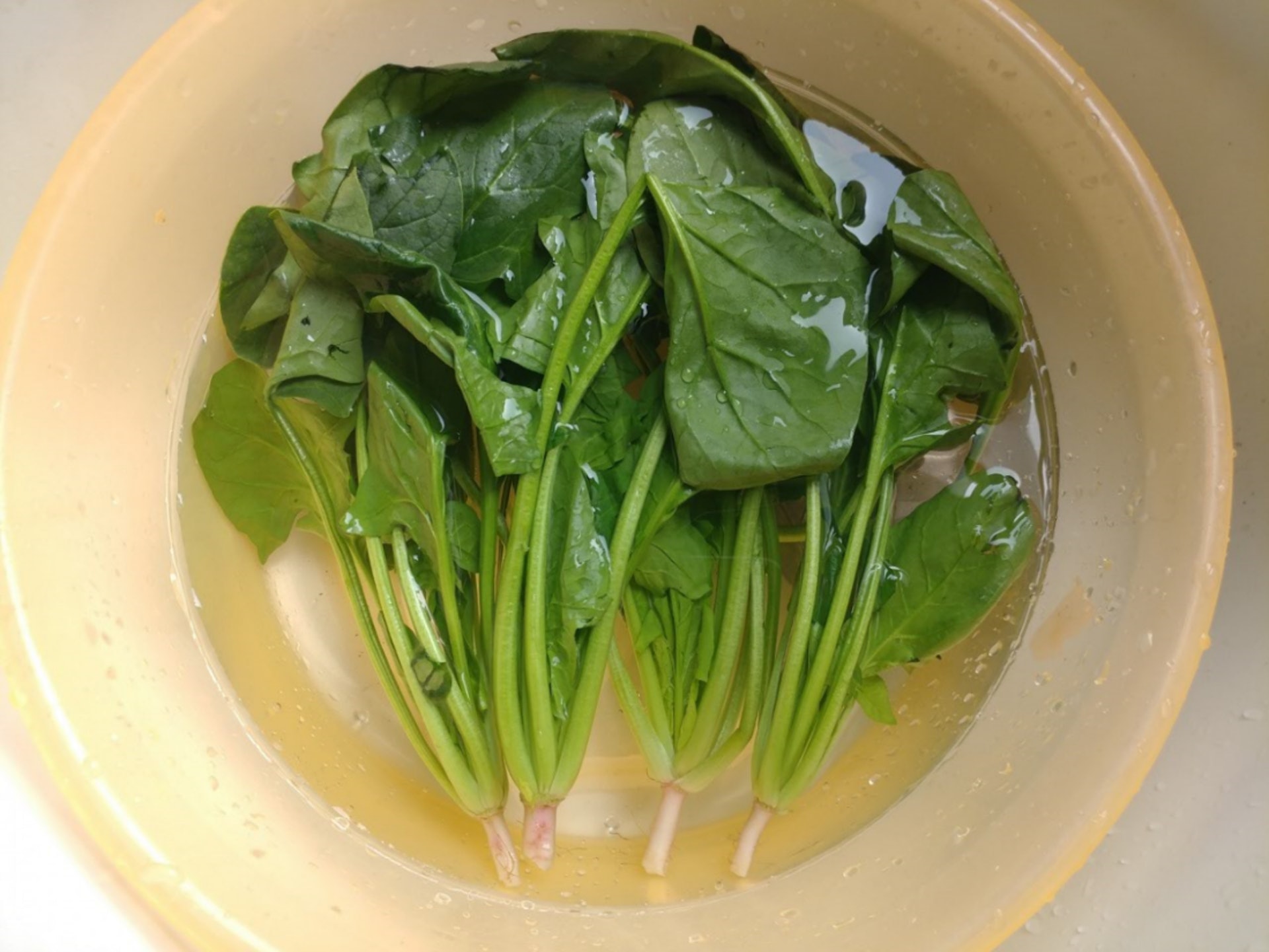 菠菜沖洗過後也需要浸泡。(資料圖片) 菠菜沖洗過後也需要浸泡。(資料圖片)