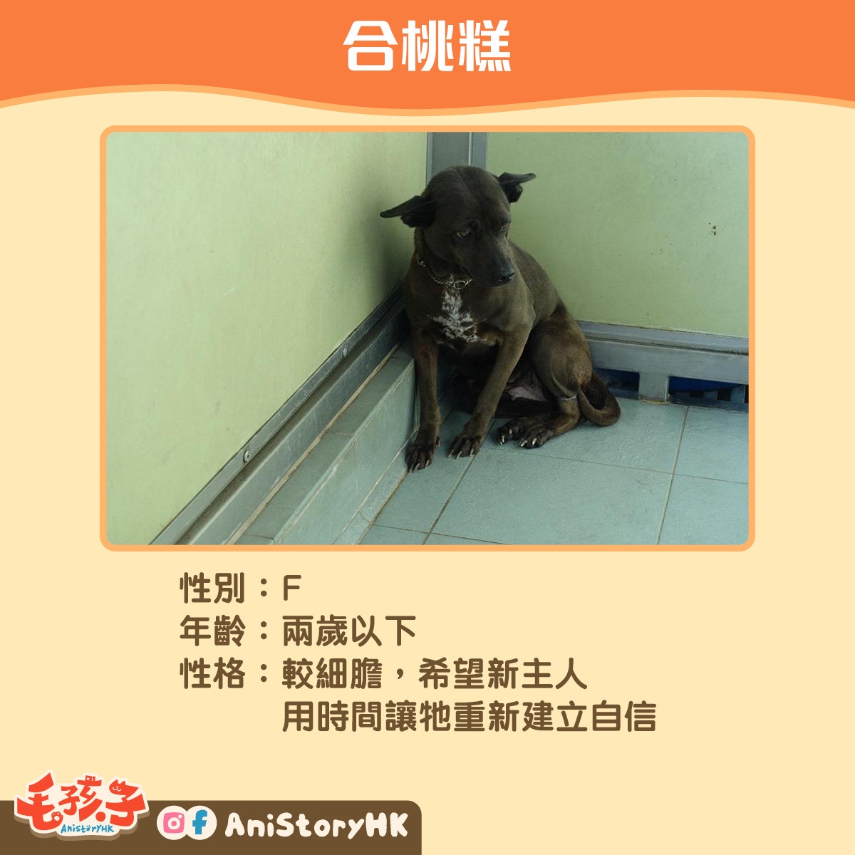 【2】合桃糕(不足2歲) 【2】合桃糕(不足2歲)