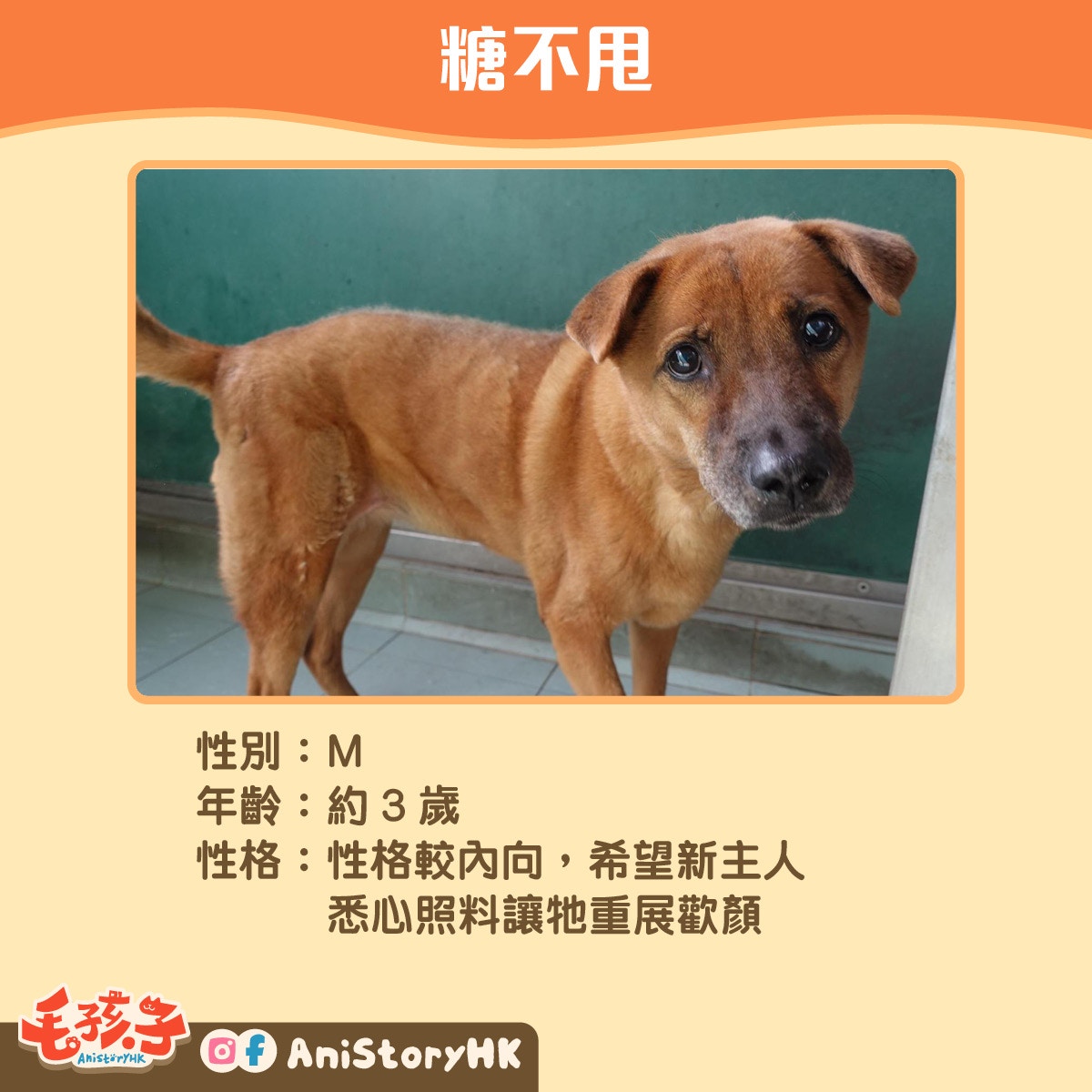 【6】糖不甩(3歲) 【6】糖不甩(3歲)